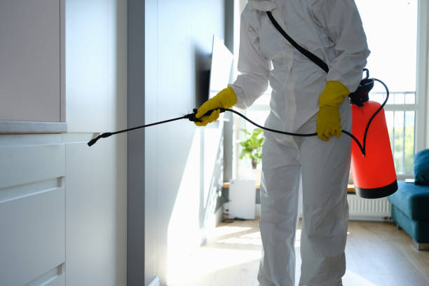 Best Professional Mold Removal  in West Ocean City, MD